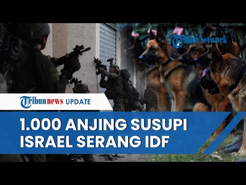 Rangkuman Hari Ke-133 Israel-Hamas: Tentara Israel Diserang 1.000 Anjing Hingga Kapal Inggris Bolong