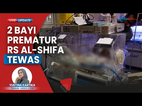 Rumah Sakit Al-Shifa Lumpuh, 2 Bayi Prematur Tewas, 37 di Inkubator Terancam: Kekurangan Oksigen