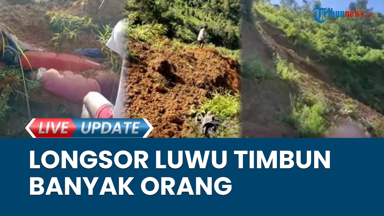 Video Detik Detik Tebing Longsor Di Luwu Sulsel Banyak Orang Tertimbun 1 Orang Dilaporkan Tewas 9931