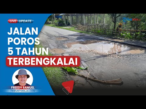 Jalan Poros Toraja-Palopo Rusak Parah, Sering Terjadi Kecelakaan