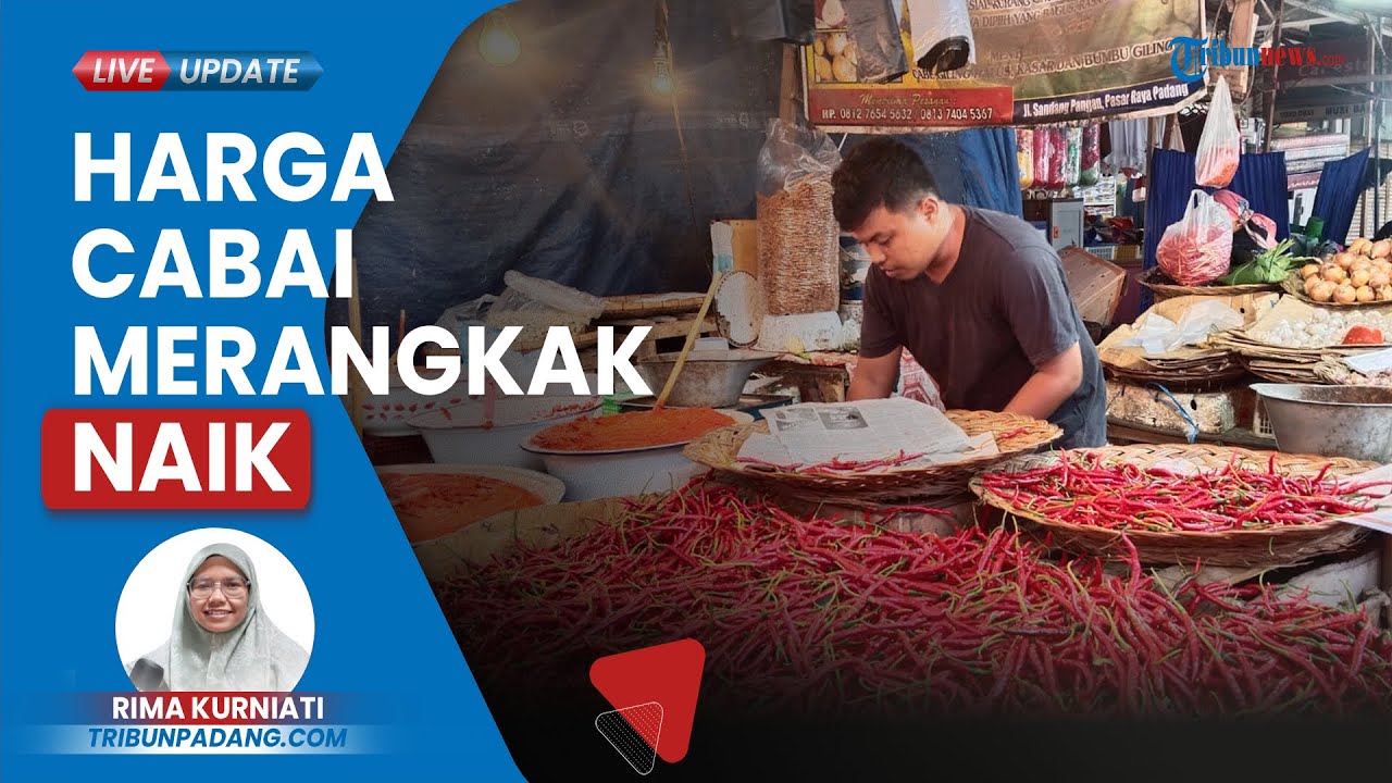 Harga Cabai Merah Di Pasar Raya Padang Naik Karena Pasokan Barang Tak ...