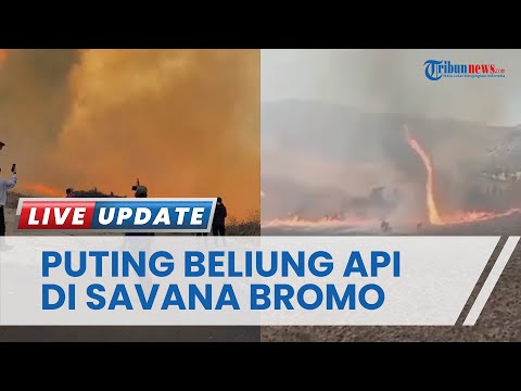 Detik-detik Pusaran Puting Beliung Api di Tengah Kebakaran Savana Bromo, Membumbung Tinggi ke Udara
